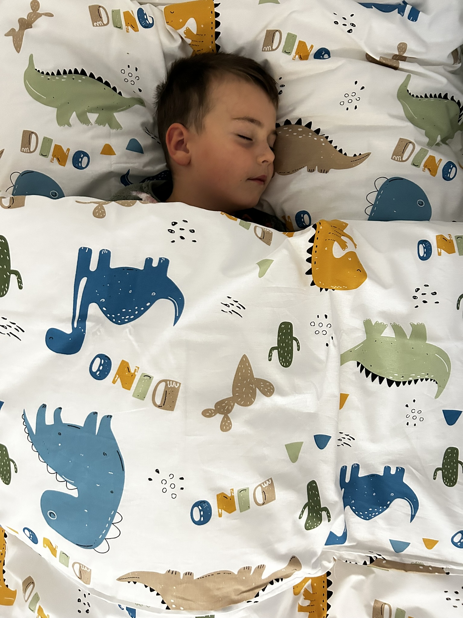 Bavlněné dětské povlečení do malé postýlky 90x135, 45x60 cm Dino, zapínání: zipový uzávěr