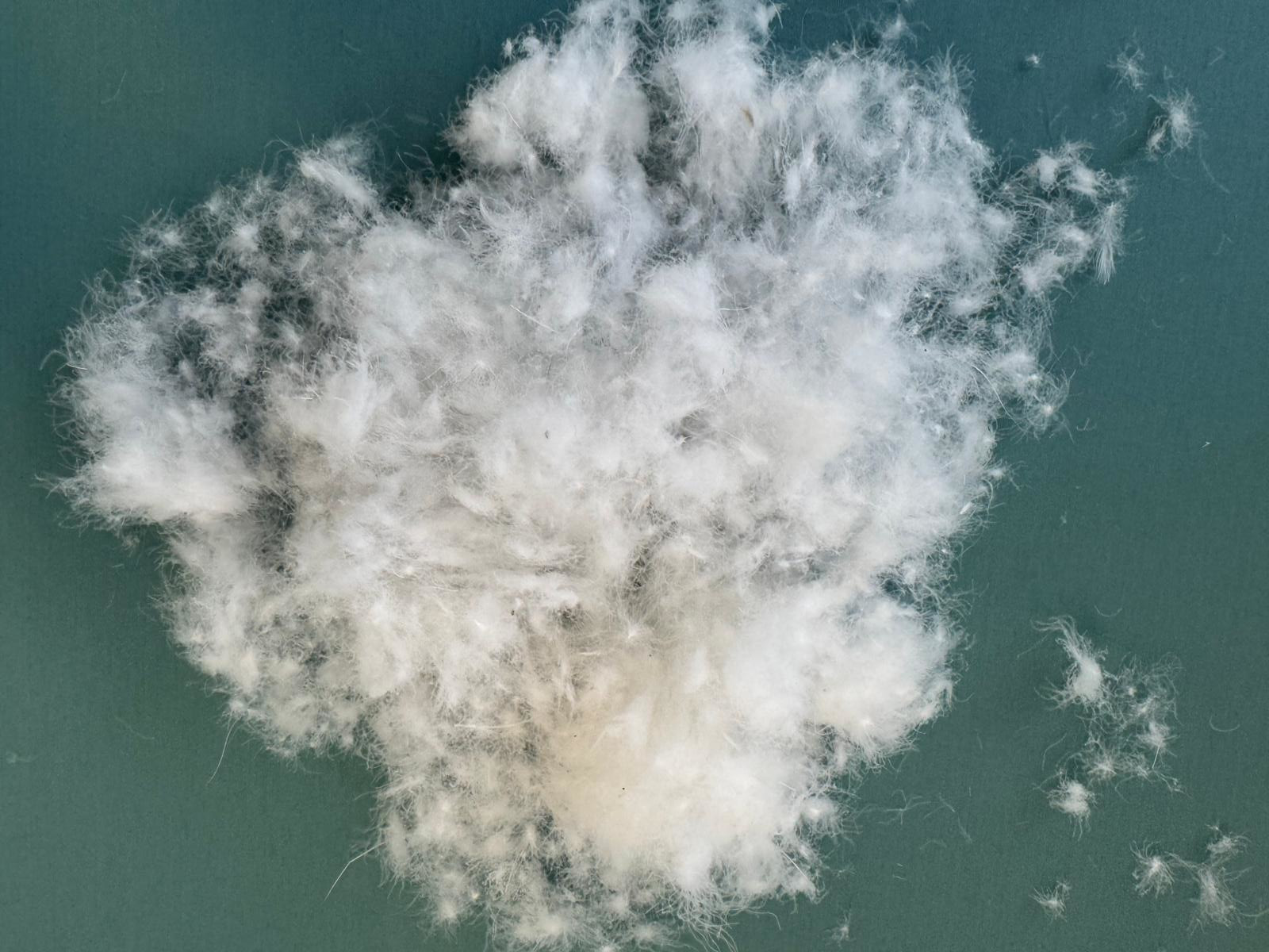 Péřová přikrývka STANDARD 135x200 cm 50/50 1200 g